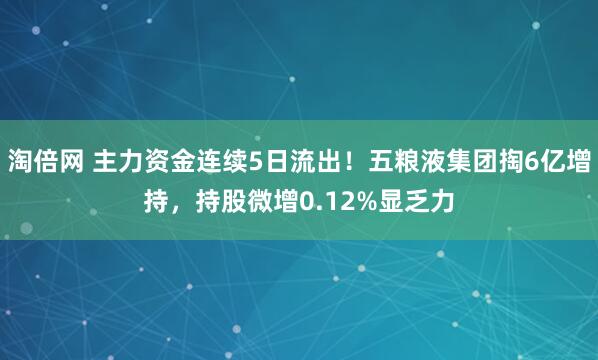 淘倍网 主力资金连续5日流出！五粮液集团掏6亿增持，持股微增0.12%显乏力
