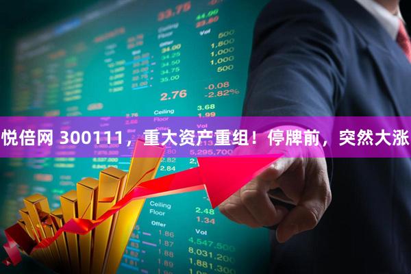 悦倍网 300111，重大资产重组！停牌前，突然大涨