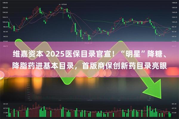 维嘉资本 2025医保目录官宣！“明星”降糖、降脂药进基本目录，首版商保创新药目录亮眼