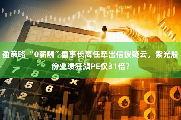 盈策略 “0薪酬”董事长离任牵出信披疑云，紫光股份业绩狂飙PE仅31倍？
